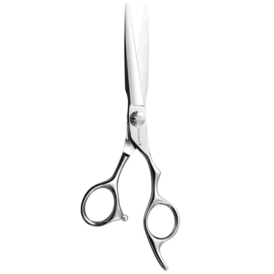Imagen de AOLANDUO tijeras de peluquería 6&quot; con Super CONVEX EDGE AICHI JP440C corte pelo Duradero movimiento suave y fino para el salón