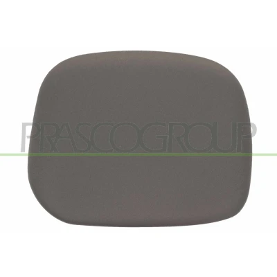 Imagen de PRASCO PG9047414 Cubierta, retrovisor exterior izquierda PEUGEOT: Partner I Combispace, Furgón, CITROËN: Berlingo / First Furgón