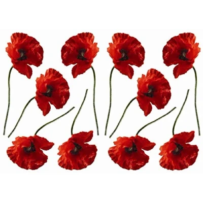 Imagen de Plage Decoración Adhesiva Amapolas, Vinilo, Rojo, 21x29.6 cm