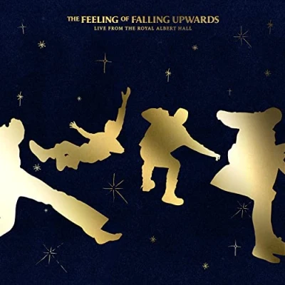 Imagen de 5 Seconds Of Summer The Feeling Falling Upwards (2 LP) [Vinilo]