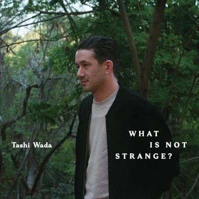 Imagen de What Is Not Strange [Vinilo]