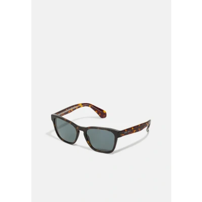 Imagen de Giorgio Armani Gafas de sol, Hombre, Talla: 55, Dark brown