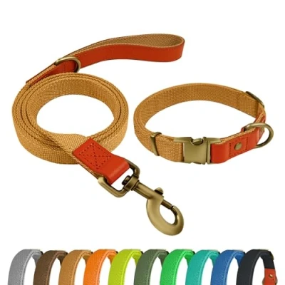 Imagen de Qianruida Collar y Correa Perro Conjunto de para Perros PequeñOs Medianos Grandes Caqui,L