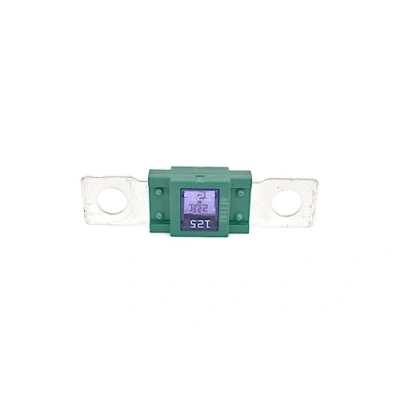 Imagen de BOSCH 1 987 531 001 Fusible 125A 32V
