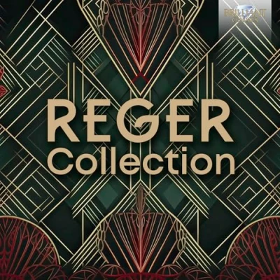 Imagen de Reger Collection 18cds Varios Artistas