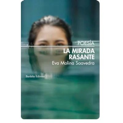 Imagen de La mirada rasante (POESIA)
