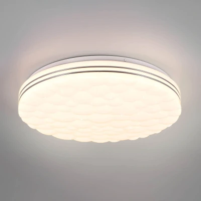 Imagen de Reality Leuchten Plafón LED Tiger RGB CCT efecto starlight