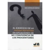 Imagen de El Ejercicio De La Patria Potestad En Situaciones No Convivencia