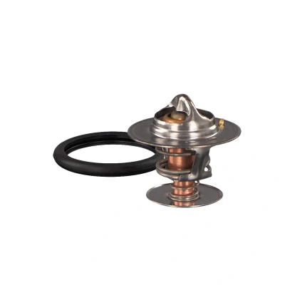 Imagen de FEBI BILSTEIN 18979 Termostato, refrigerante 92 con junta anular FORD: Transit Connect Mk1 Furgón, Focus Hatchback, Berlina