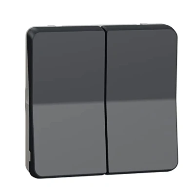 Imagen de Schneider MUR35326 Mureva accesorio doble botón