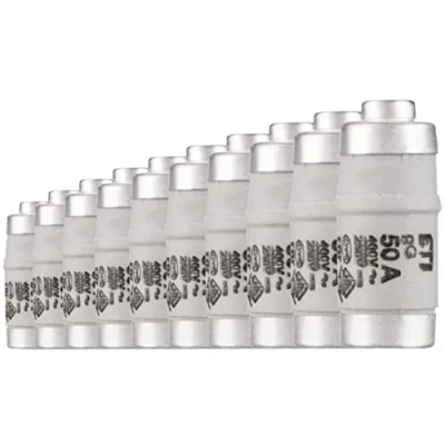 Imagen de REV Ritter 515052555 Fusible