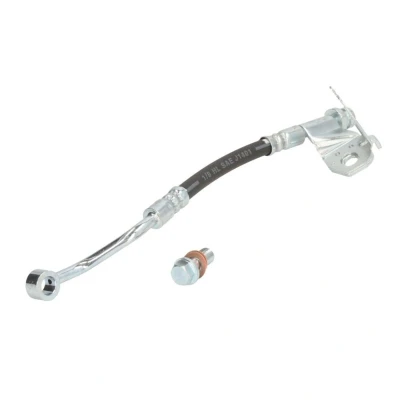 Imagen de DELPHI LH7541 Latiguillos de Freno 267 Banjo HYUNDAI: i20 I Hatchback