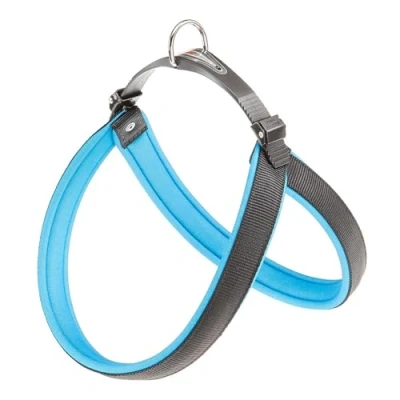Imagen de Ferplast 75449625 ARNES AGILA Fluo 6, Azul, Talla Única
