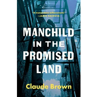 Imagen de Manchild In The Promised Land (ebook)