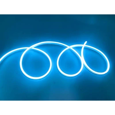 Imagen de tempo di saldi Tira LED de neón flexible impermeable IP65 5 metros 120 LED/m 12V azul hielo
