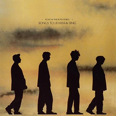 Imagen de Echo &amp; The Bunnymen Songs To Learn And Sing (LP) [Vinilo]