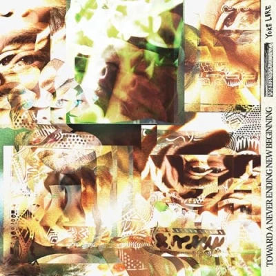 Imagen de Toward A Never Ending New Beginning [Vinilo]