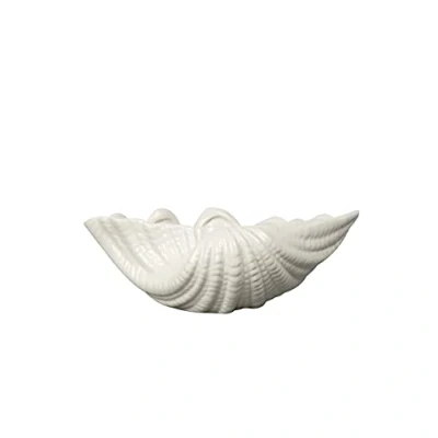 Imagen de BY ON Cuenco decorativo de concha, color blanco, 23 x 16 8 cm, dolomita fija, redondo, para guardar joyas o como decoración en el salón cuarto baño