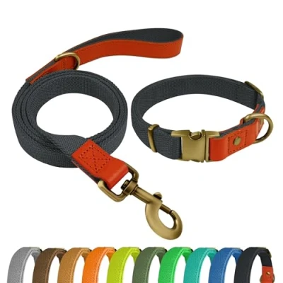 Imagen de Qianruida Collar y Correa Perro Conjunto de para Perros PequeñOs Medianos Grandes Azul Marino Oscuro,XL