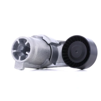 Imagen de INA 534 0433 10 Brazo tensor, correa trapecial poli V BMW: 3 Berlina, X3, X6 norauto, oscaro, mister auto