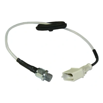 Imagen de Sensor de temperatura culata METZGER 0905384
