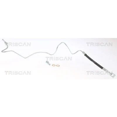Imagen de TRISCAN 8150 29361 Latiguillos de Freno M10x1 VOLKSWAGEN: Golf 4, 4 Variant, New Beetle Hatchback, SEAT: Leon I Toledo 2 Limousine