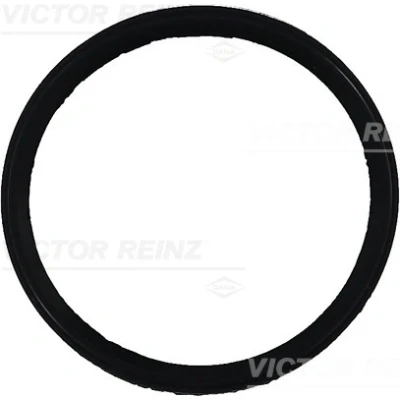 Imagen de REINZ 71 35249 00 Junta Colector de Admision PEUGEOT: 206 Hatchback, 306 106 II CITROËN: Saxo Xsara Hatchback