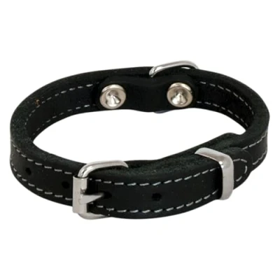 Imagen de JACK AND VANILLA, Collar para Perro, Modelo Piel Negrita, Color Negro, Tamaño 25 mm x 55 cm