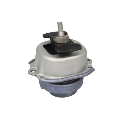 Imagen de REINHOCH RH11 3094 Soporte de motor delante hidráulico BMW: X5