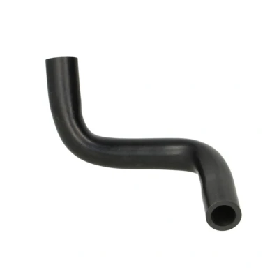 Imagen de THERMOTEC DCR169TT Tubo flexible de aspiración, filtro aire RENAULT: CLIO 2