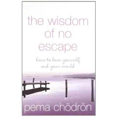 Imagen de Wisdom of no escape and the path loving kindness
