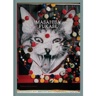Imagen de Masahisa Fukase