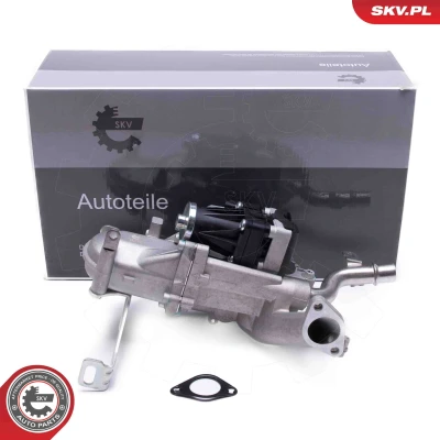 Imagen de ESEN SKV 14SKV250 Válvula EGR CITROËN: C4 I Grand Picasso, C5 3, Berlingo II, PEUGEOT: Expert II Tepee, 308 Hatchback, 3008 I, FORD: FIESTA 6