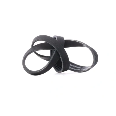 Imagen de CONTITECH 6PK1000 Correa trapecial poli V 1000 6 PEUGEOT: 307 Hatchback, SW, 407 Berlina, CITROËN: C4 Coupé, I Grand Picasso