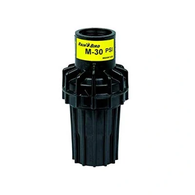 Imagen de Fluidra, Regulador de presión Rainbird PSI M30, 2,1 bares