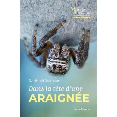 Imagen de Dans La Tête Dune Araignée (ebook)