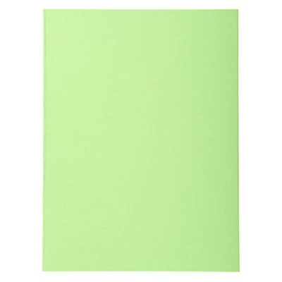 Imagen de Exacompta 410013E Lote de 100 Subcarpetas Forever® 250, Color Verde