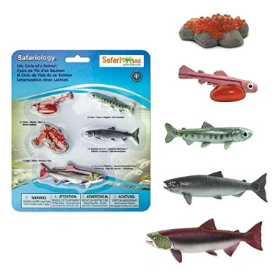 Imagen de Safari Ltd. Safariology Life Cycle Series Ciclo de vida un salmón Figura juguete para niños y niñas A partir 3 años