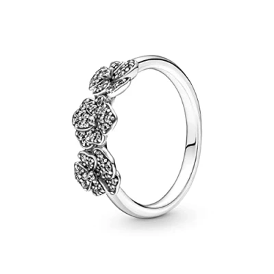 Imagen de PANDORA Anillo Anel 190786C01 54 Marca