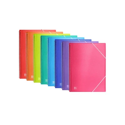 Imagen de Carpeta clasificadora 30 fundas Oxford Varios Colores A4