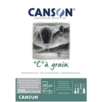 Imagen de Canson C à Grain Bloc Encolado A3 30H Fino 250g Gris
