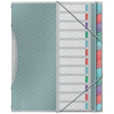 Imagen de Esselte Carpeta Divisora con 12 Pestañas, A4, Organizador de Documentos Libre Ácidos, Fundas Plástico Transparente, Casa/Oficina, Patrón en Relieve, Gama Colour&#039;Breeze, Multi Colour,626256