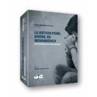 Imagen de La justicia penal juvenil en Iberoamérica: Libro homenaje a D. Elías Carranza: 8 (Colección &quot;Penalcrim&quot; J.M. Bosch Editor)