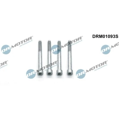 Imagen de DR.MOTOR AUTOMOTIVE DRM01093S Tornillo, soporte inyector CITROËN: Jumper II Furgón, C4 Picasso 1, Grand 2, PEUGEOT: Boxer Furgón