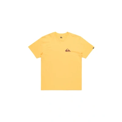 Imagen de Quiksilver EV MINI LOGO SS Camiseta básica, Talla: XS, Ngr