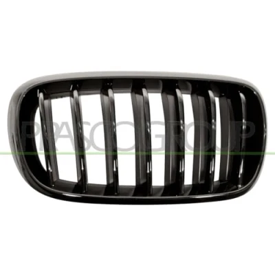 Imagen de PRASCO BM8272003 Parrilla derecha liso negro BMW: X5