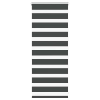 Imagen de vidaXL Estor Cebra Negro 60x100 cm Tejido Ancho 55,9 poliéster