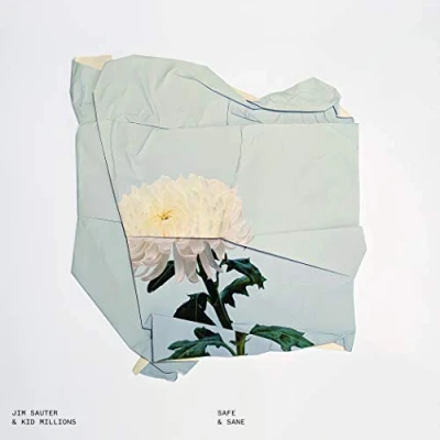 Imagen de Safe &amp; Sane Vinilo