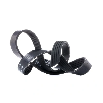Imagen de DAYCO 5PK810 Correa trapecial poli V 810,0 5 BMW: Berlina, 3 X5
