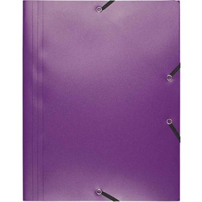 Imagen de Exacompta 55918E Carpeta con goma, color morado (importado)